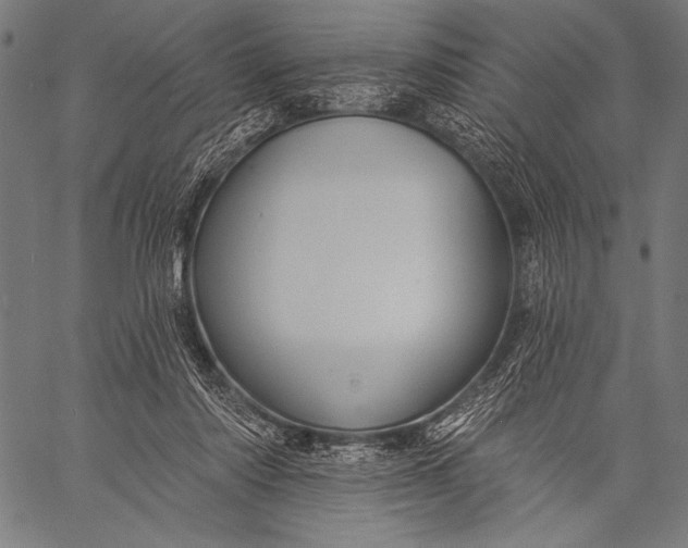 X0000057090310200509301558