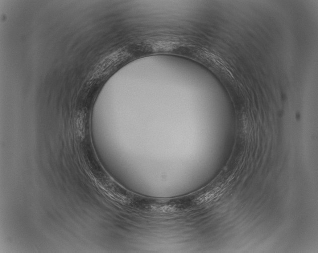 X0000057090311200509301558