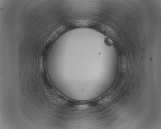 X0000057090312200509301558