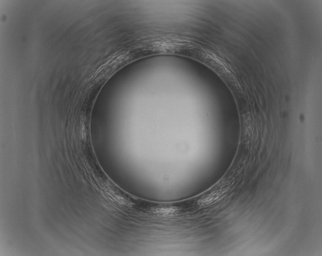 X0000057090313200509301558