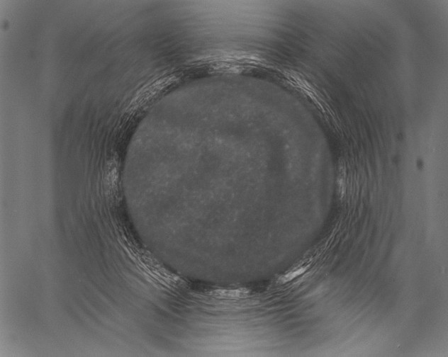 X0000057090314200509301558