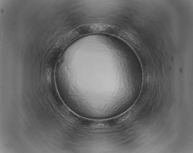 X0000057090315200509301557