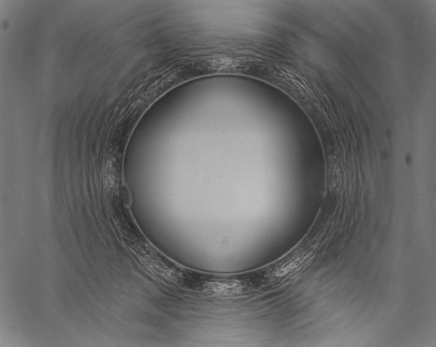 X0000057090317200509301557