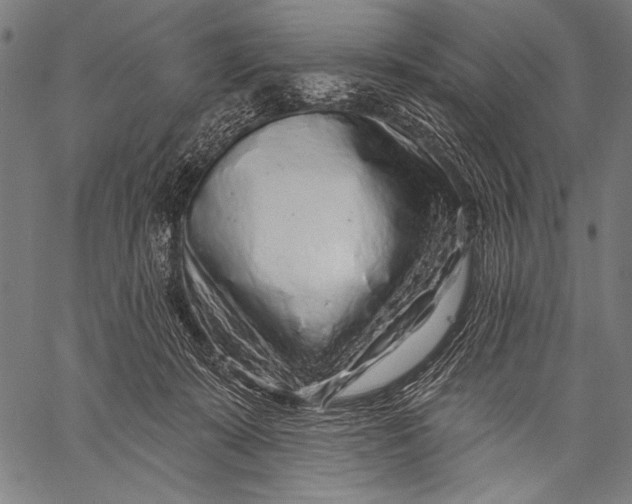 X0000057090319200509301557