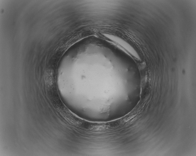 X0000057090323200509301557