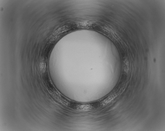 X0000057090324200509301557