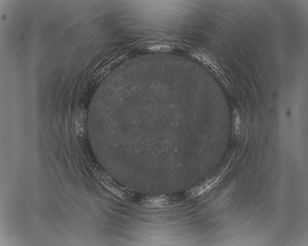 X0000057090325200509301557