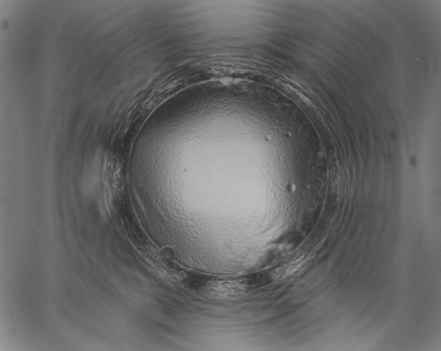 X0000057090327200509301557