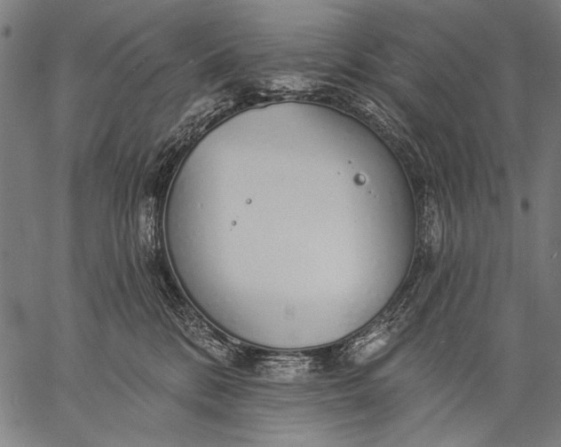 X0000057090328200509301557