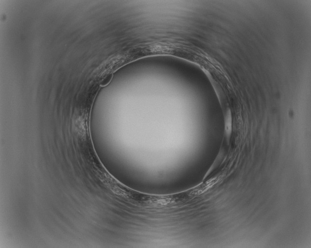 X0000057090329200509301557