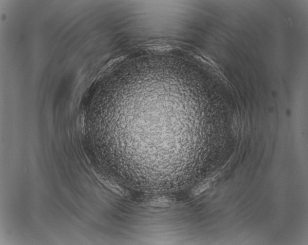 X0000057090330200509301557