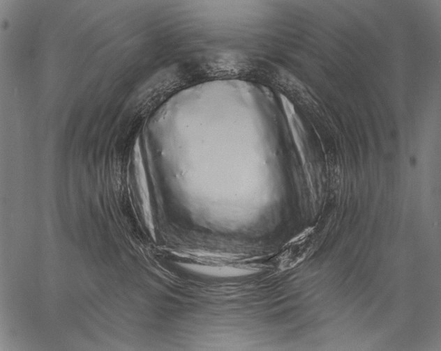 X0000057090331200509301557