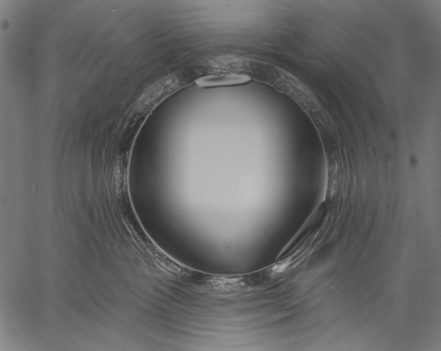 X0000057090333200509301557