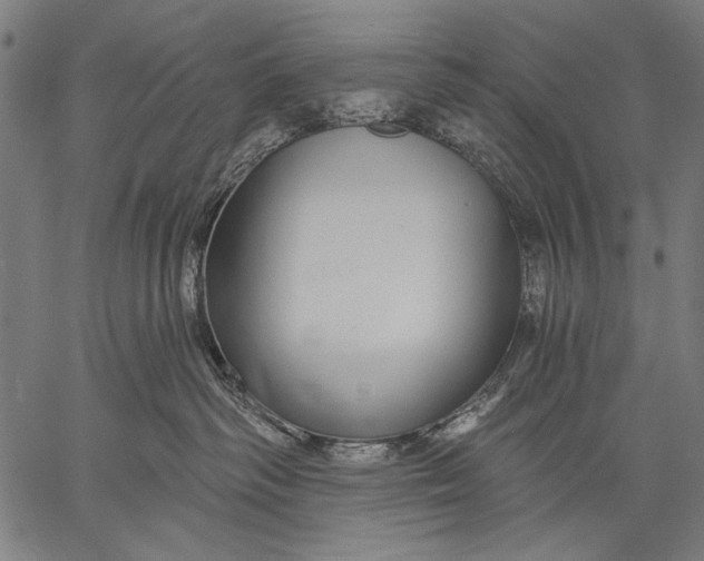 X0000057090334200509301557