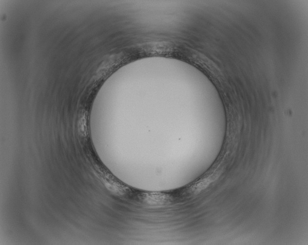 X0000057090336200509301557