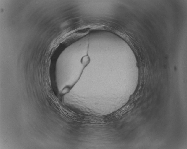 X0000057090337200509301556