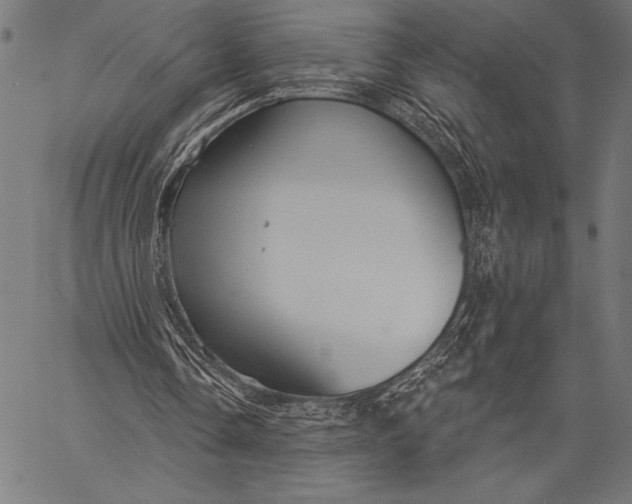 X0000057090338200509301556