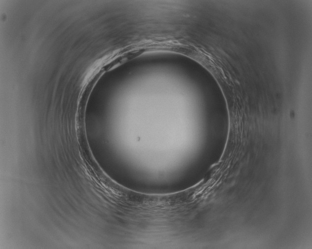 X0000057090340200509301556