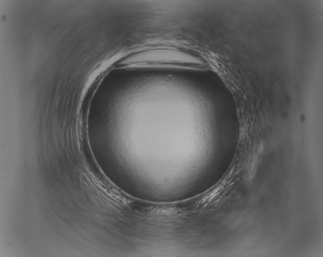 X0000057090342200509301556