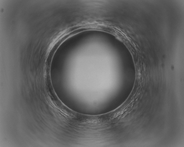 X0000057090344200509301556