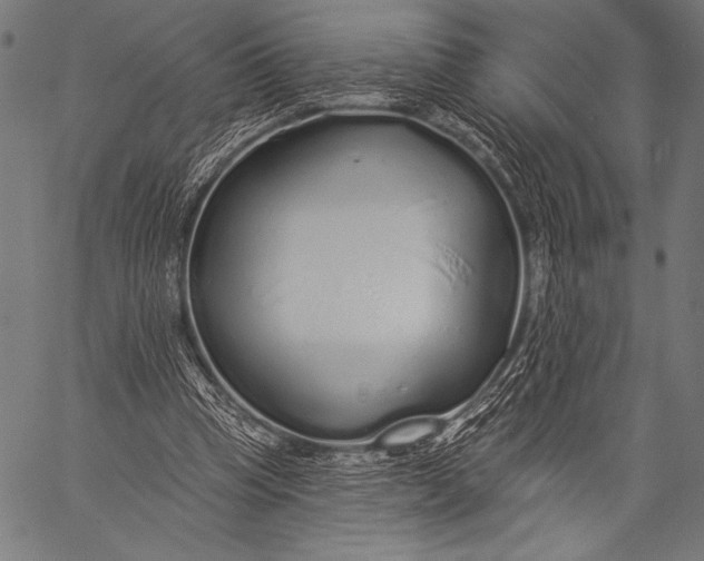 X0000057090345200509301556