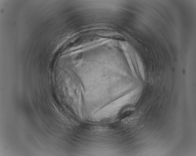 X0000057090347200509301557