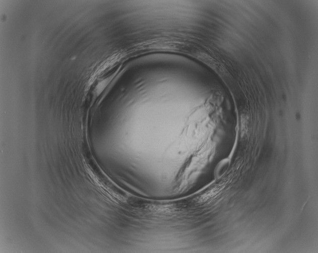 X0000057090349200509301557