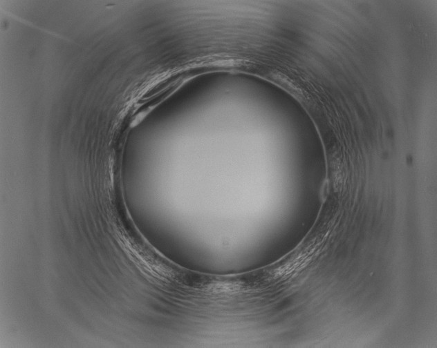 X0000057090350200509301557