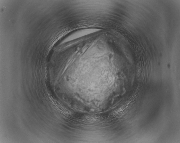 X0000057090351200509301557