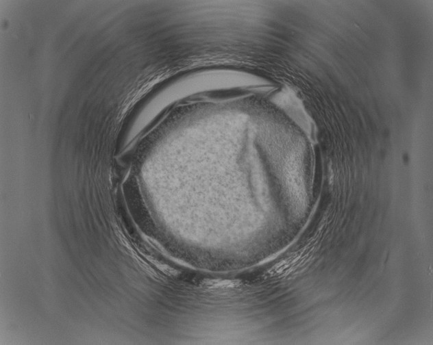 X0000057090352200509301557