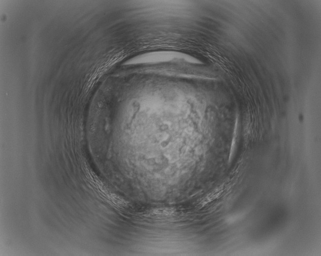 X0000057090353200509301557