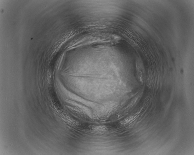 X0000057090355200509301557