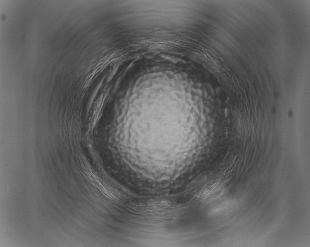 X0000057090357200509301557