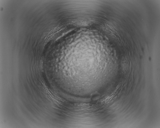 X0000057090359200509301557