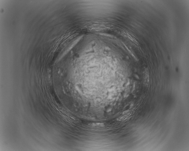 X0000057090361200509301557