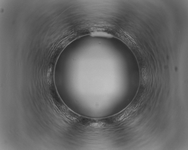 X0000057090364200509301557