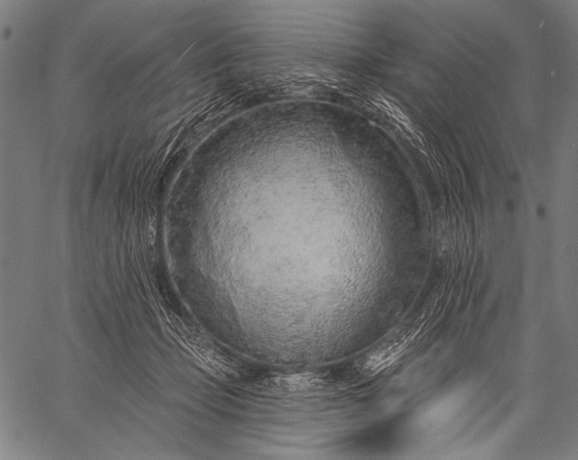 X0000057090365200509301557