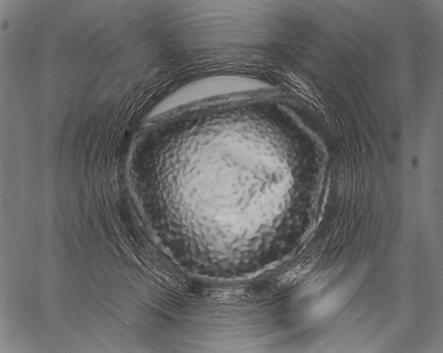 X0000057090366200509301557