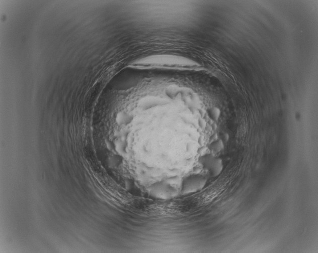 X0000057090367200509301557