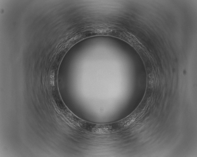 X0000057090368200509301557