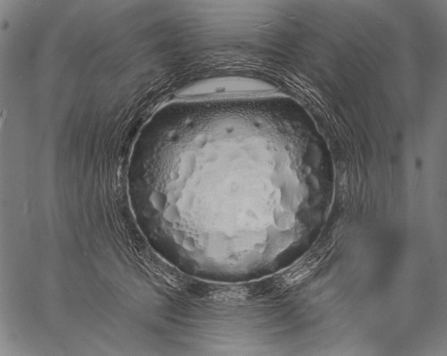 X0000057090369200509301557