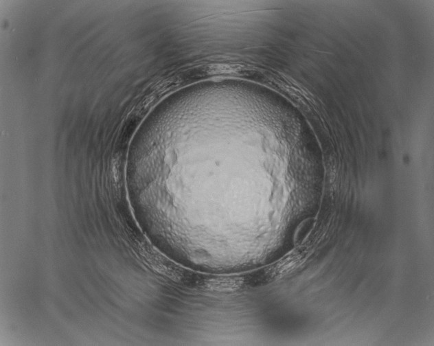 X0000057090373200509301557