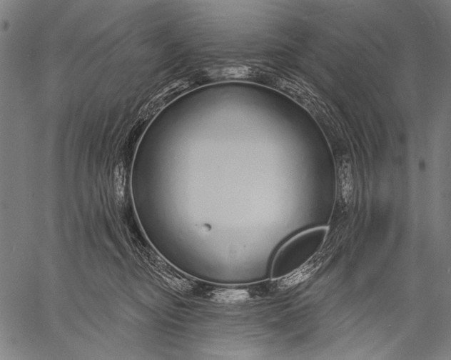 X0000057090374200509301557