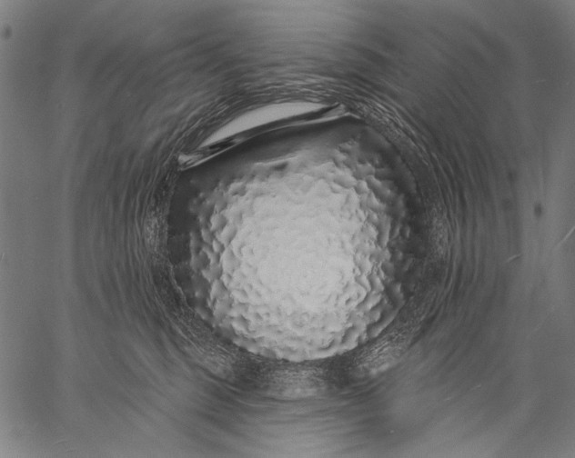 X0000057090375200509301557