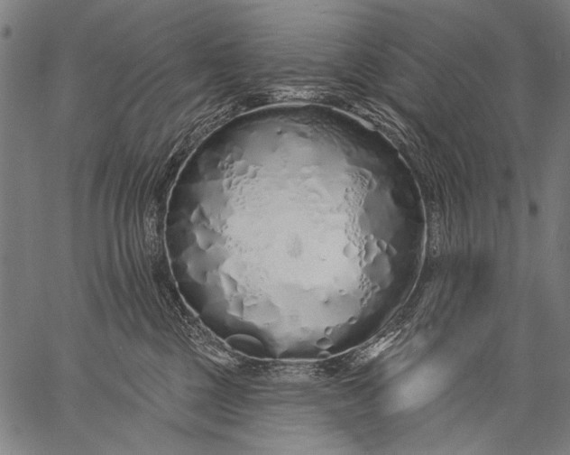 X0000057090377200509301557