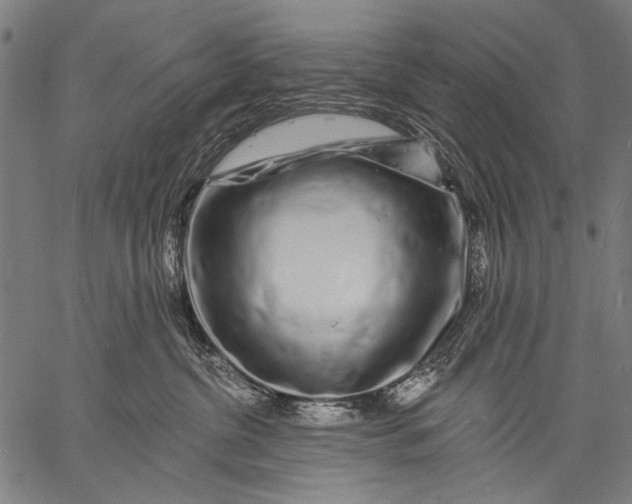 X0000057090380200509301557