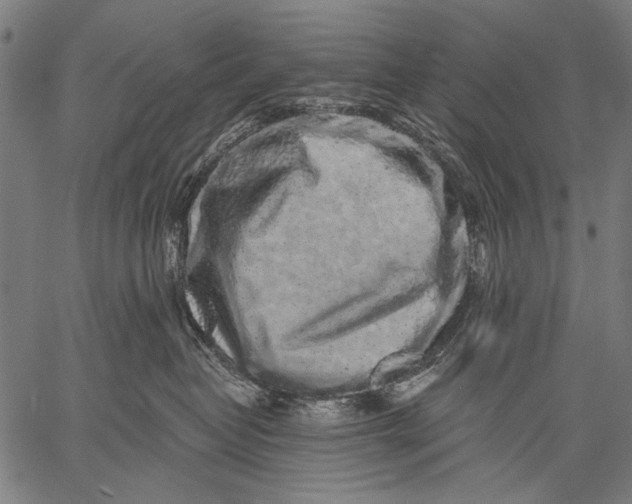 X0000057090382200509301557