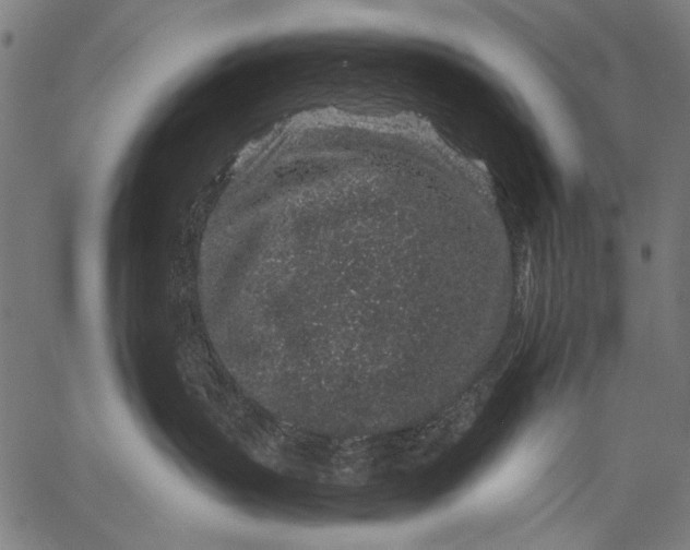 X0000057090383200509301557