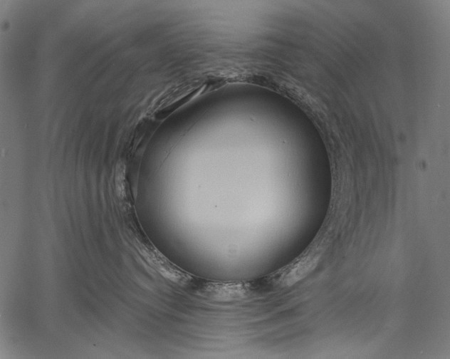 X0000057090384200509301557