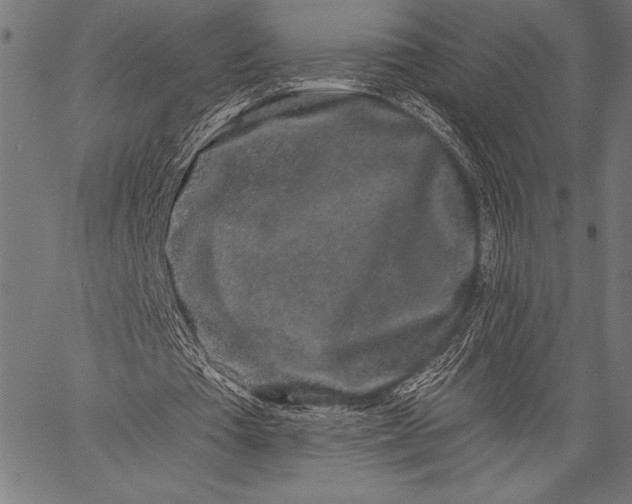 X0000057090385200509301556